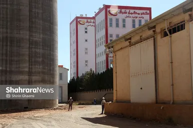گزارش تصویری | بازدید از کارخانه تولید خوراک دام و طیور در مشهد