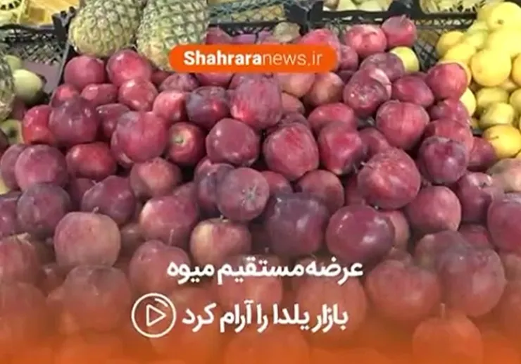 فیلم/ عرضه مستقیم میوه برای شب یلدا