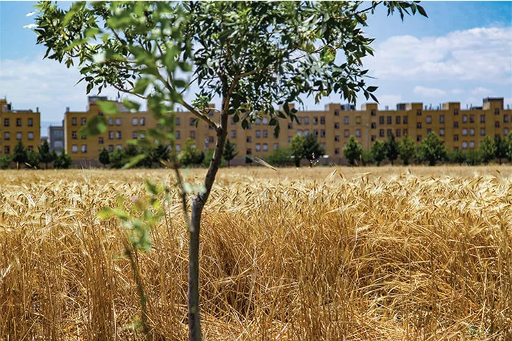 زمین‌های تشنه گردشگر