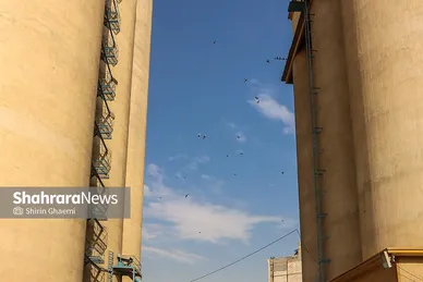 گزارش تصویری | سیلوی گندم مشهد