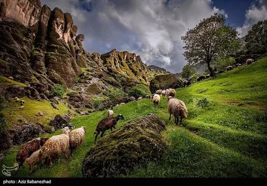 ایران زیباست | طبییعت بهاری منطقه کوهستانی هفت حوض - خرم آباد