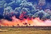 آخرین آمار خسارت محیط زیستی جنگ رمضان اعلام شد