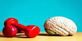 مغز بعد از یک هفته ورزش منظم چه تغییری می&zwnj;کند؟