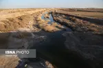 نفس‌های تالاب بین‌المللی «گاوخونی» به شماره افتاد + عکس