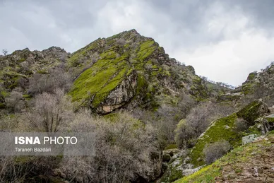 ایران زیباست | مخمل کوه در گستره زاگرس - لرستان