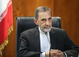 تذکر تند علی&zwnj;اکبر ولایتی به محمدرضا هاشمیان درباره ویدئوهای انتقادی