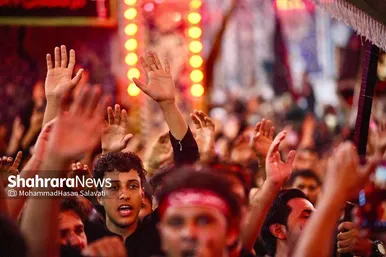 اربعین حسینی در کربلای معلی (۲)