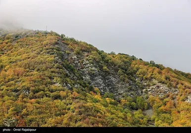 ایران زیباست؛ طبیعت پاییزی - گیلان
