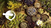 مصرف خودسرانه فرآورده‌های گیاهی خطرناک است
