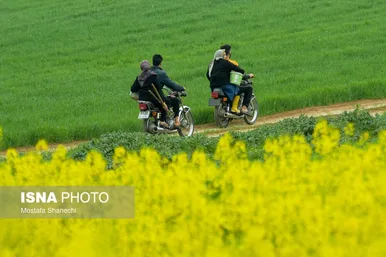 ایران زیباست | طبیعت بهاری روستاهای اطراف ساری