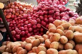سیب‌زمینی، پیاز، گوجه‌فرنگی و خیار را در مشهد کیلویی چند بخریم؟ (۱۰ خرداد ۱۴۰۵)