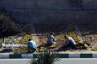 گل‌کاری در نقاط مختلف شهر مشهد