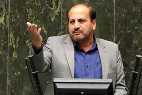 نماینده علی&zwnj;آباد کتول: جلوی مافیای واردات گرفته شود