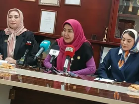 عضویت یک بانوی کارفرمای ایرانی در سازمان جهانی کار (ILO)