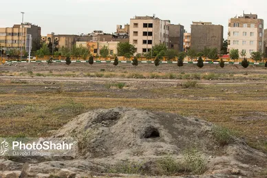 همزیستی با روباه‌ها
