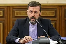 غریب&zwnj;آبادی خبر داد: ۲۴ دی، دور جدید گفت&zwnj;وگوهای ایران و سه کشور اروپایی