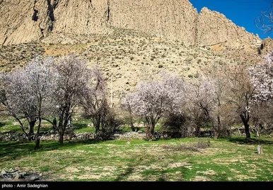 ایران زیباست | اندک اندک می‌رسد اینک بهار
