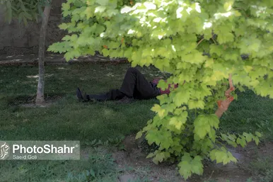 گرمای هوا در مشهد