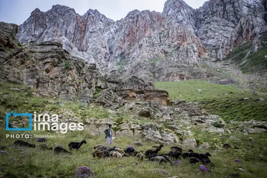 ایران زیباست | ییلاق در کوهستان