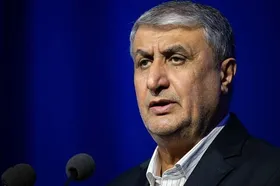 هیأت ونزوئلا با رئیس سازمان انرژی اتمی دیدار کرد
