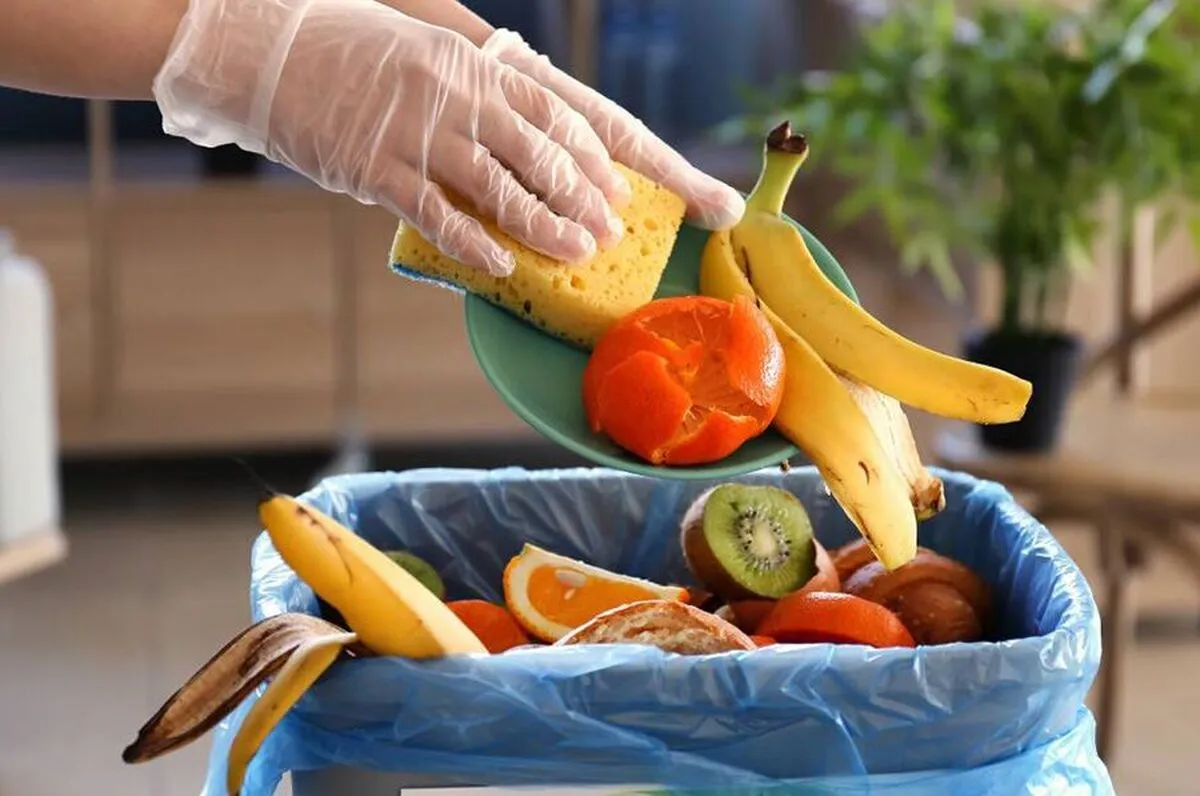 ساخت دستگاه‌های تولید کمپوست برای استفاده خانگی