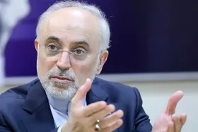 علی اکبر صالحی: درباره مسایل اصلی کشور باید با دانش، نگاه ژرف و تاریخی سخن گفت