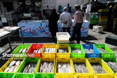 بازار ماهی فروشان در شهرک عرب‌های مشهد