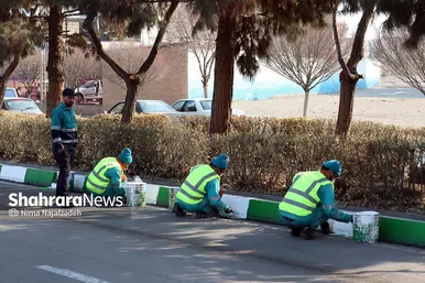 رنگ بهار در خیابان‌های مشهد