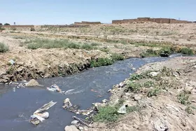 کمک &laquo;کلانتری&raquo; برای کشف&zwnj;رود