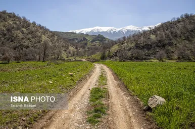 ایران زیباست | مخمل کوه در گستره زاگرس - لرستان