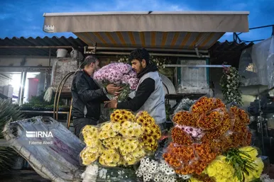 بازار گل در آخرین روزهای سال