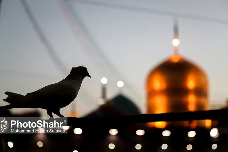 ویژه برنامه‌های روز زیارتی امام رضا(ع) در حرم مطهر رضوی
