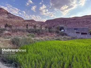 گزارش تصویری | طبیعت تابستانی دره شمخال
