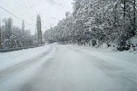 ویدئو| مسیر زیبای فیروزکوه