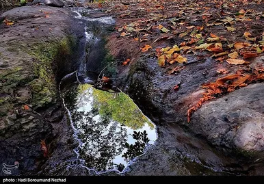 ایران زیباست | پاییز در ارسباران