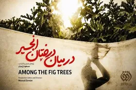 مستند &laquo;در میان درختان انجیر&raquo; روی آنتن شبکه افق + زمان پخش