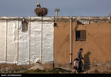 ایران زیباست | همزیستی لک لک‌ها در روستای کپر جودکی بروجرد با مردم روستا