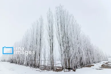 گزارش تصویری | سایه سفید