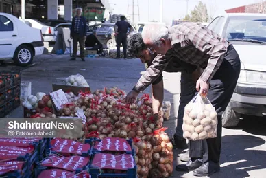 گزارش تصویری |  میدان تره‌بار سپاد در تب‌ و تاب نوروز
