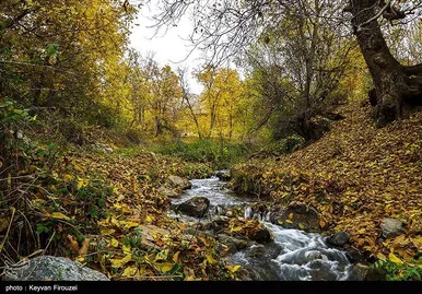 ایران زیباست | پاییز رنگارنگ کردستان