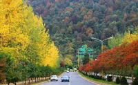 ویدئو| نمایی زیبا از نمک آبرود مازندران