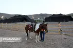 زیست پارک مشهد کجاست؟ + عکس و فیلم
