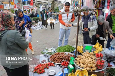 نوروزگردی | رشت