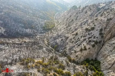 آتش سوزی منطقه حفاظت شده جهان نمای  گلستان