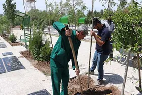 کاشت حدود ۲ هزار نهال در آرامستان&zwnj;های تحت نظارت شهرداری مشهد از ابتدای سال ۱۴۰۳