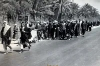 مرجع تقلیدی که بیش از ۲۵ بار پیاده راهی زیارت امام حسین(ع) شد