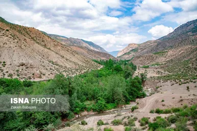 ایران زیباست | برداشت گیلاس در روستای بندبن