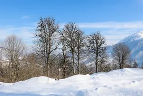 مدارس کدام شهر&zwnj;های استان فارس فردا چهارشنبه (۲۸ دی ۱۴۰۱) تعطیل شد؟