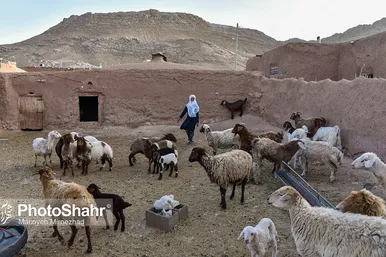 درآمدزایی اهالی روستای چاه نسر به کمک پنل های خورشیدی