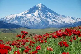 کوه&zwnj;ها امکان وقف ندارند